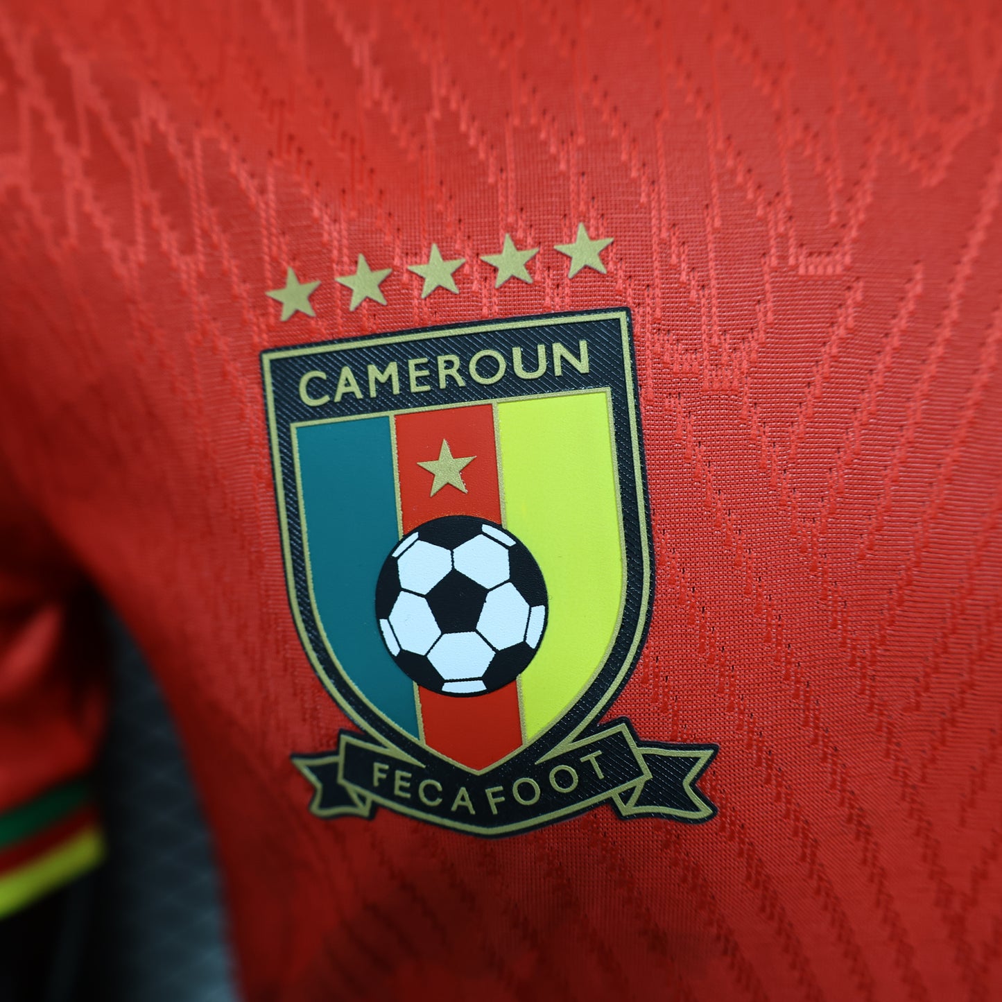 Maillot Cameroun extérieur 25/26
