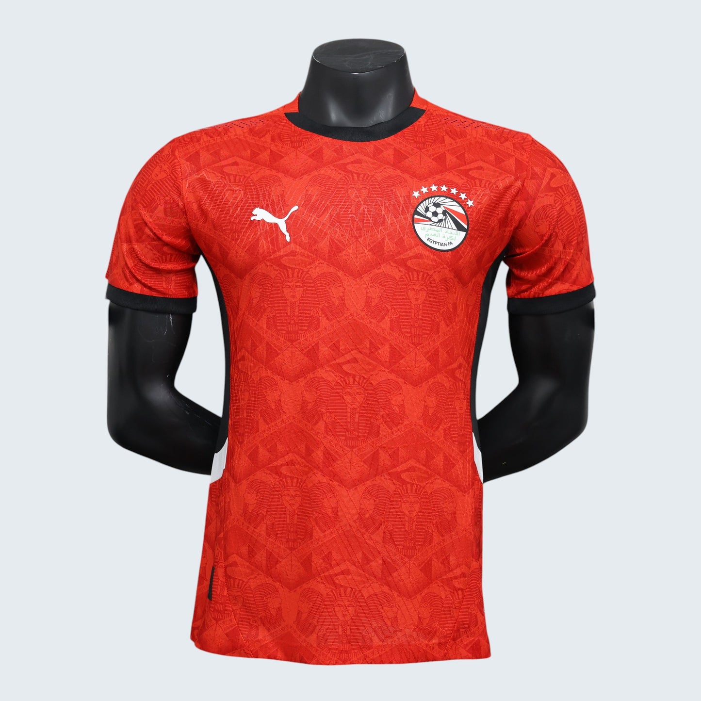 Maillot Egypte domicile 2025