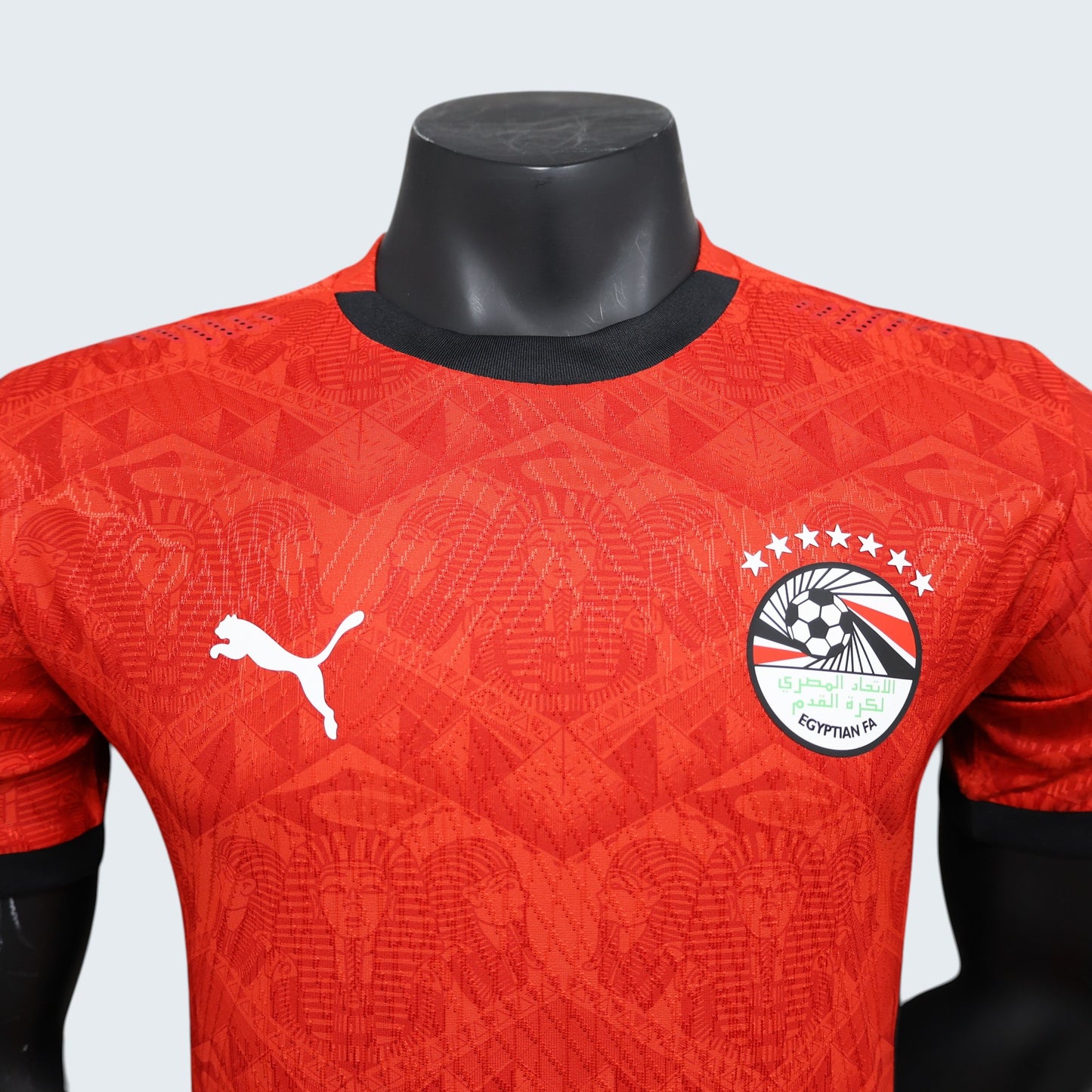 Maillot Egypte domicile 2025